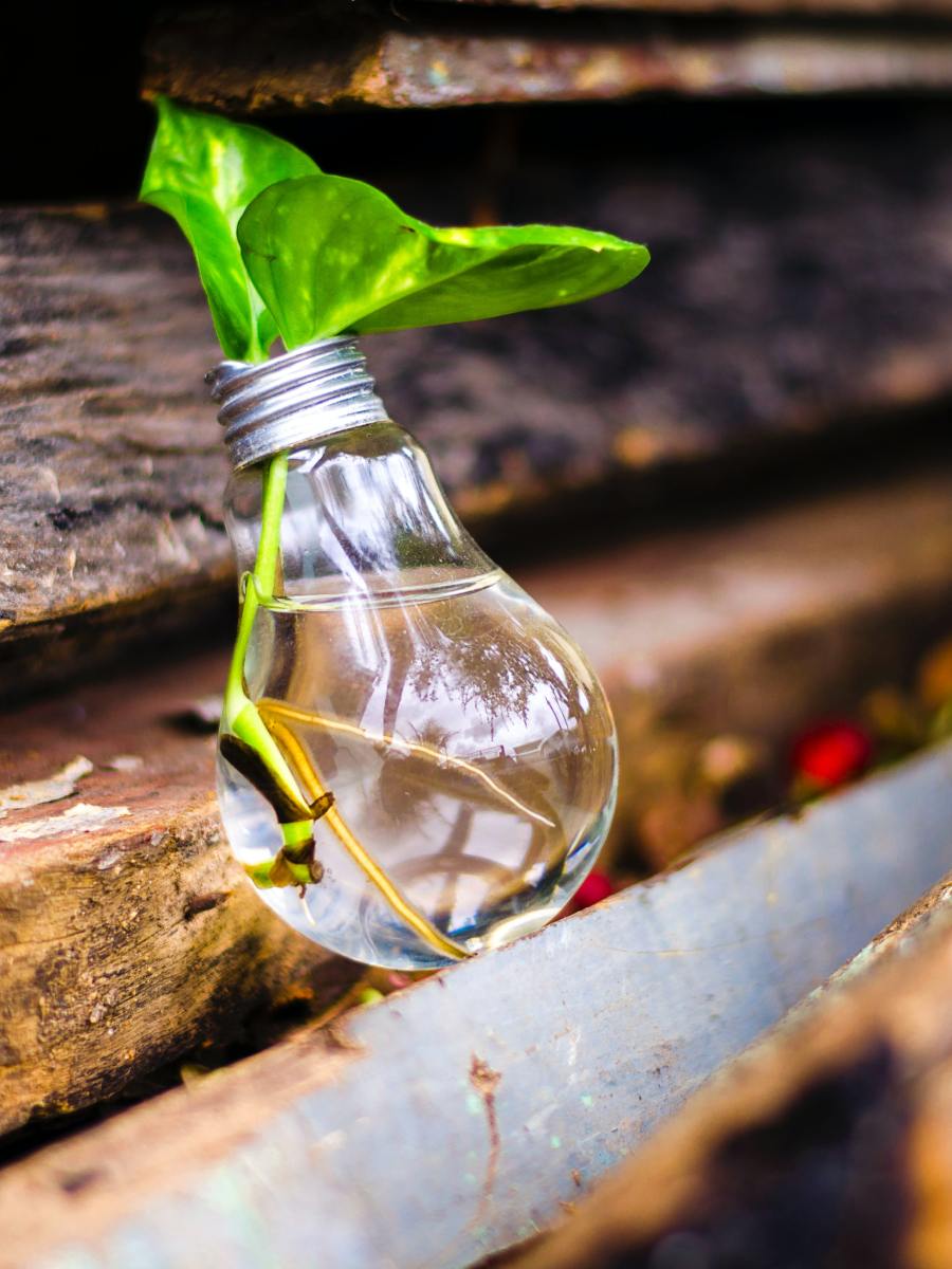 Insegnamo la creatività